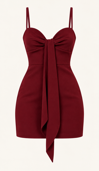 Delphine Burgundy Tie-Detail Mini Dress.