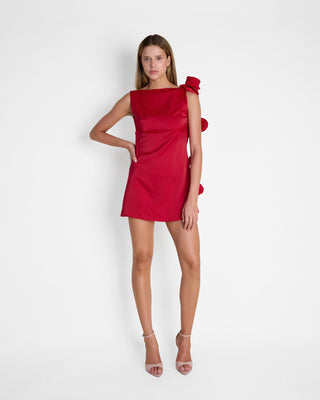 Mariam Mini Dress in Red