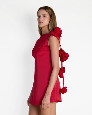 Mariam Mini Dress in Red