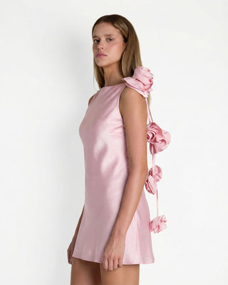 Mariam Mini Dress in Light Pink